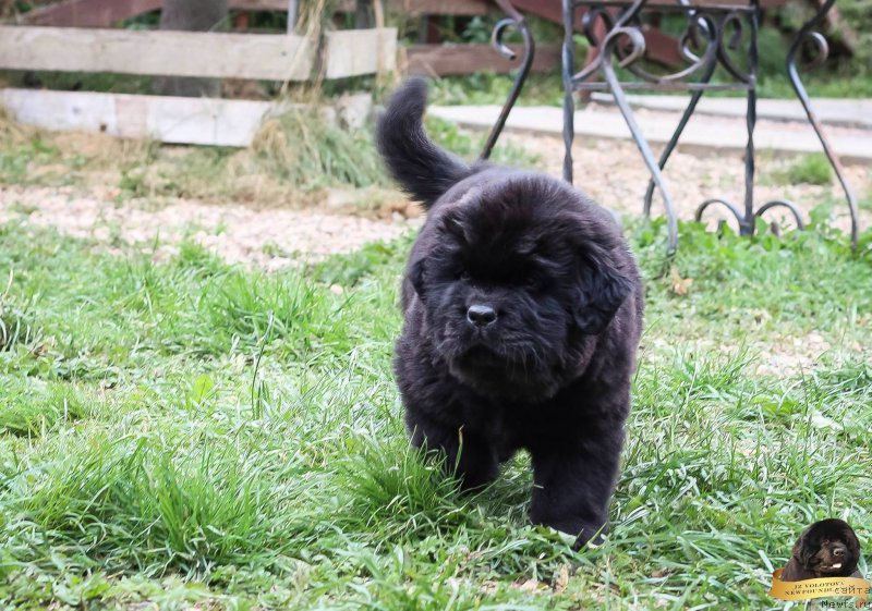 Фотография № 214079