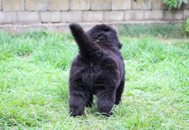 Фотография № 214083