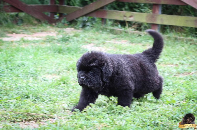 Фото: Виктор Хрищанович