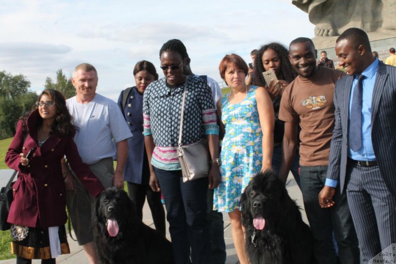 Фотография № 214091