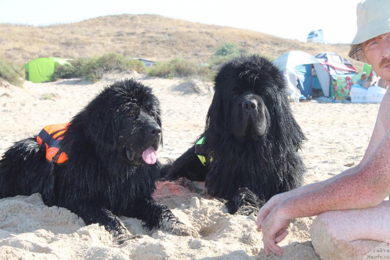 Фотография № 214094