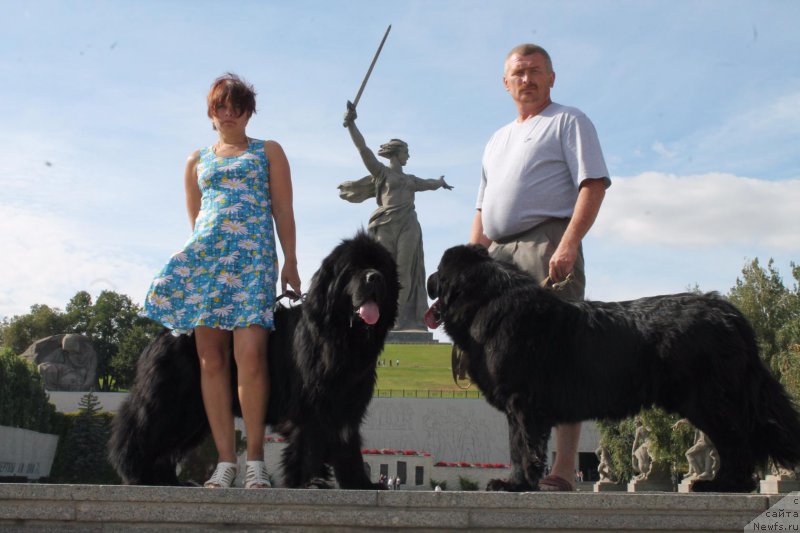 Фотография № 214095