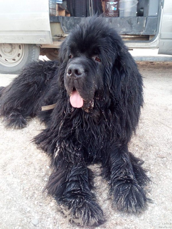 Фотография № 214096