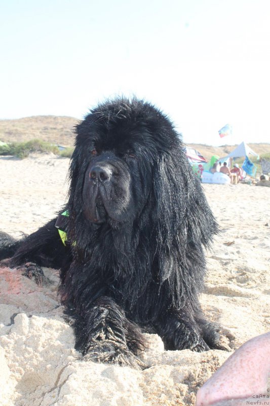 Фотография № 214097