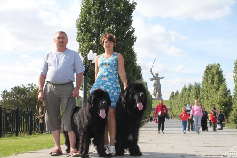 Фотография № 214103