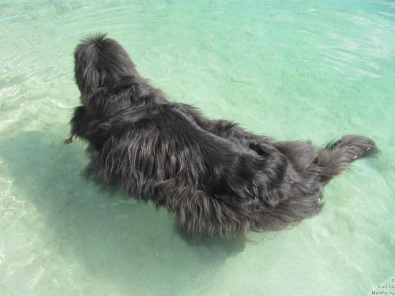 Фотография № 214110