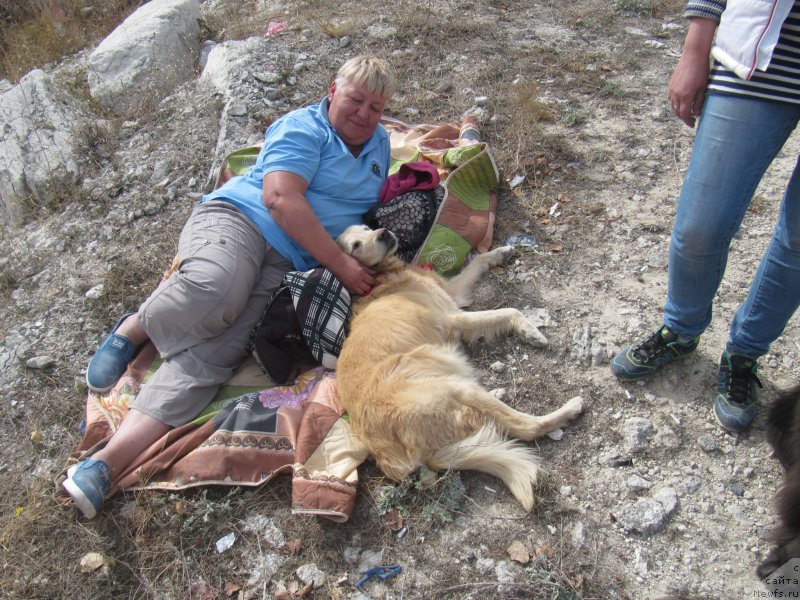 Фотография № 214113