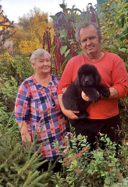 Фотография № 214137