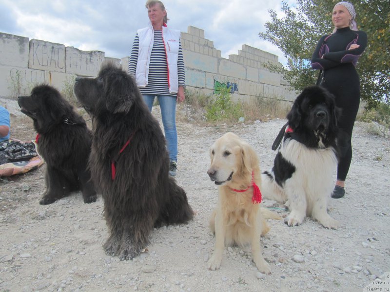 Фотография № 214138