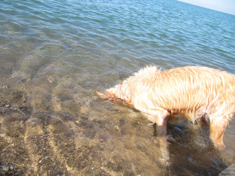 Фотография № 214140