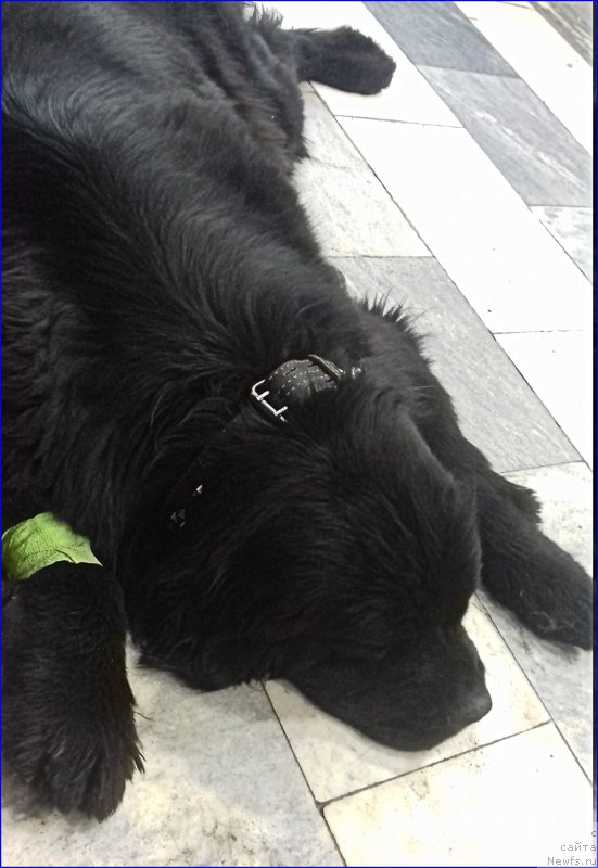 Фотография № 214147