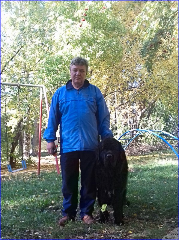 Фотография № 214148