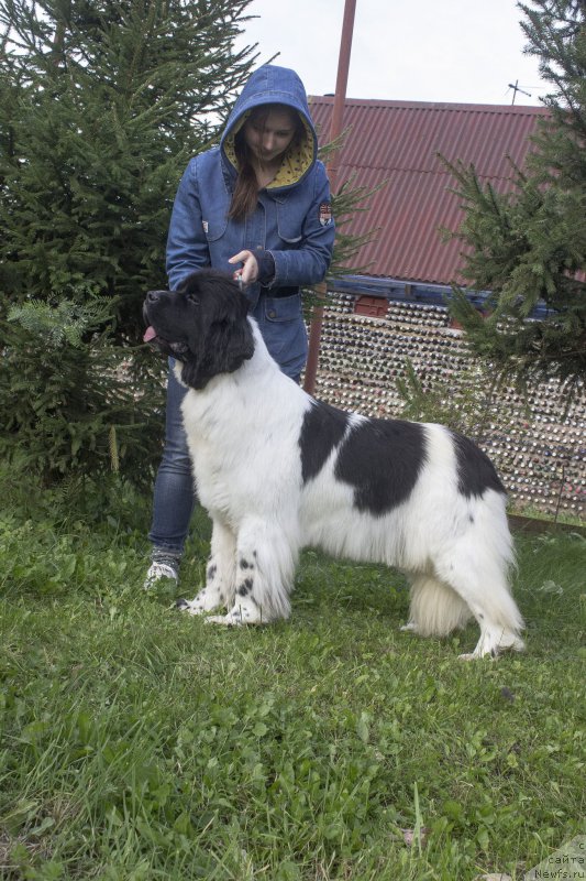 Фотография № 214149