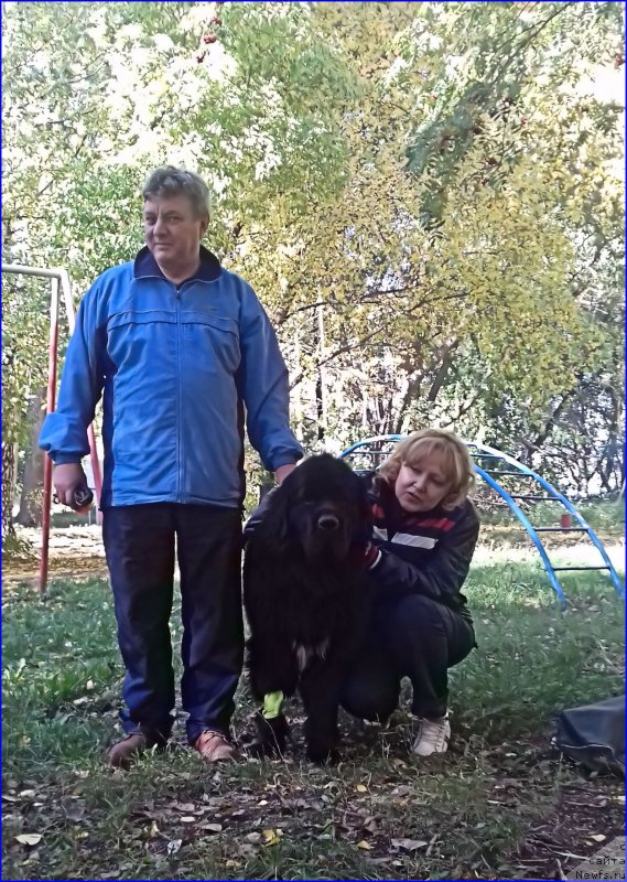 Фотография № 214151