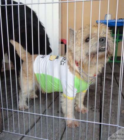 Фотография № 214171