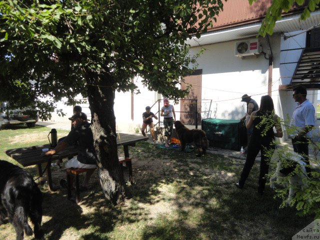 Фотография № 214177