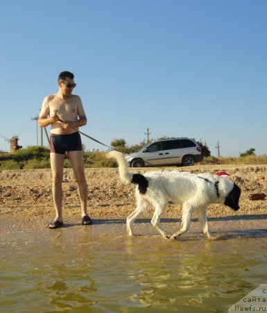 Фотография № 214179