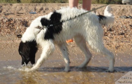 Фотография № 214180