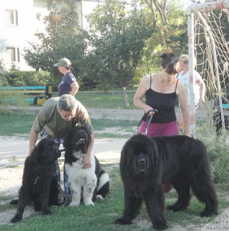 Фотография № 214189