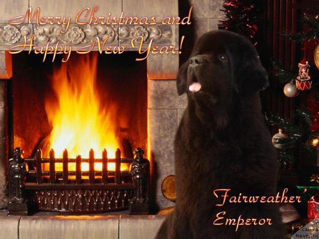 Фотография № 21419