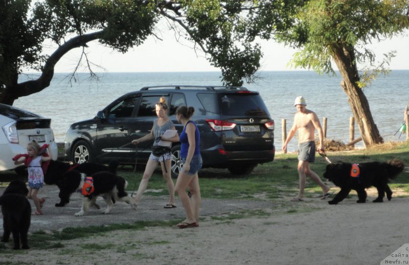 Фотография № 214194