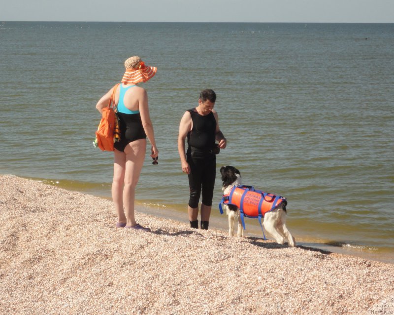 Фотография № 214195