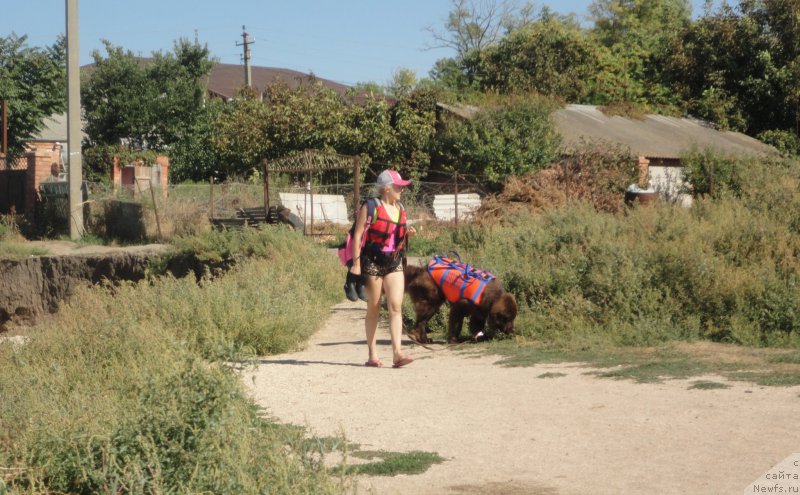 Фотография № 214196