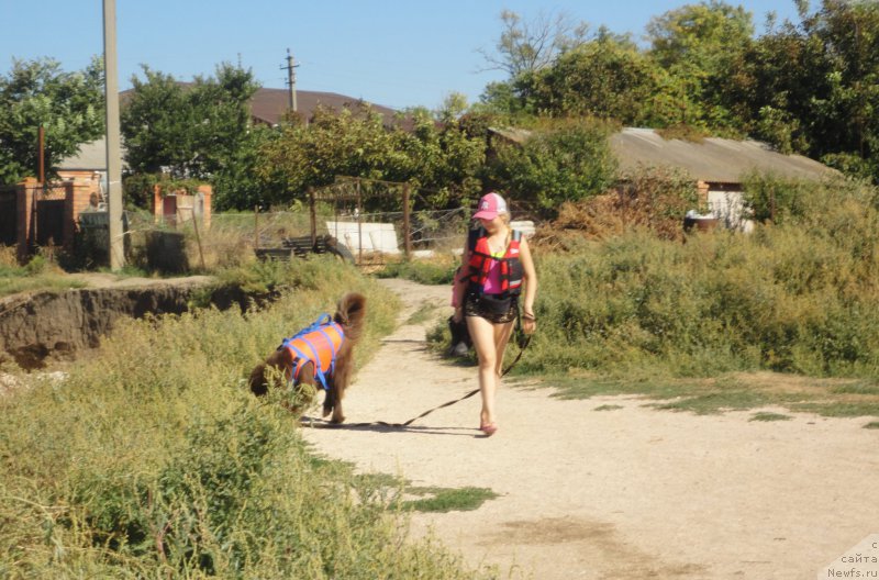 Фотография № 214197