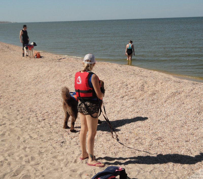 Фотография № 214198