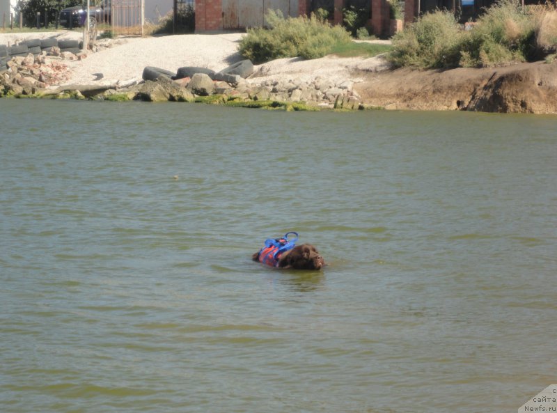 Фотография № 214199