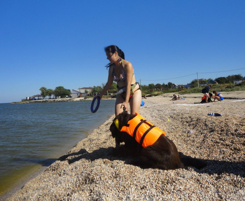 Фотография № 214201