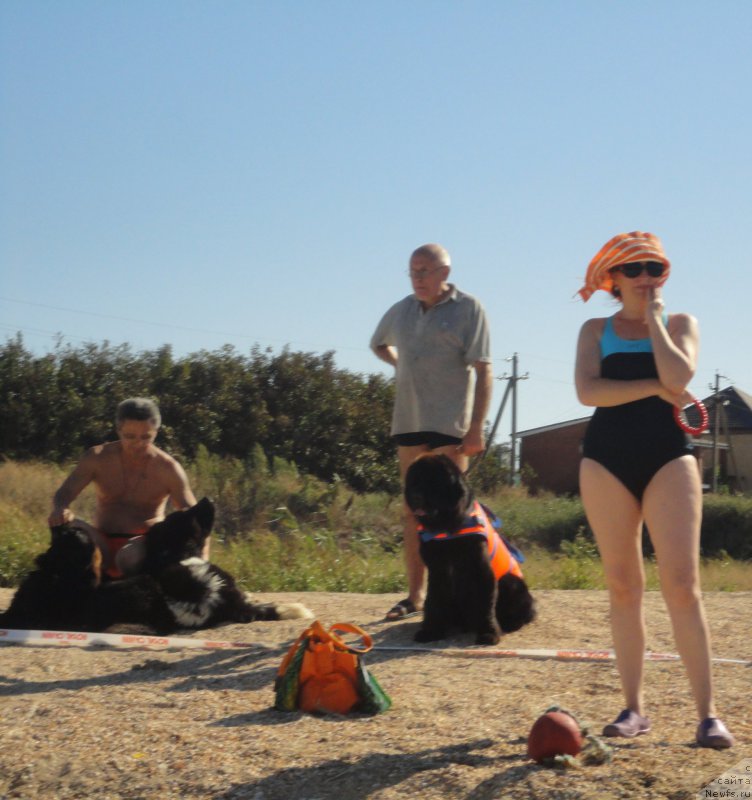 Фотография № 214203