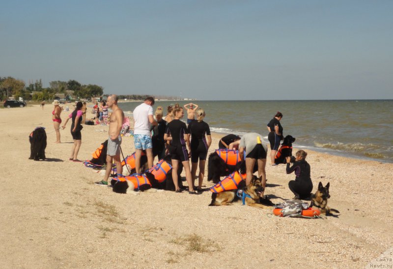 Фотография № 214204