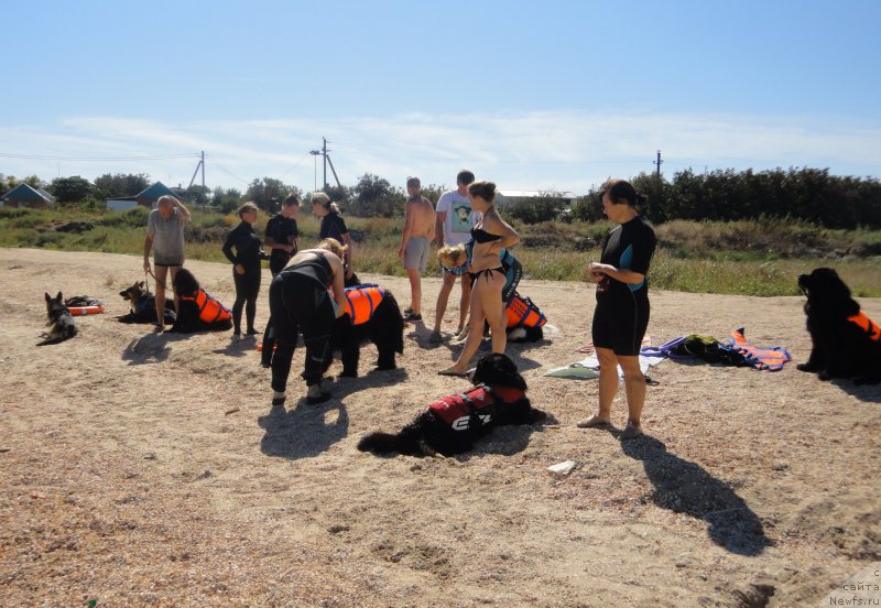 Фотография № 214205