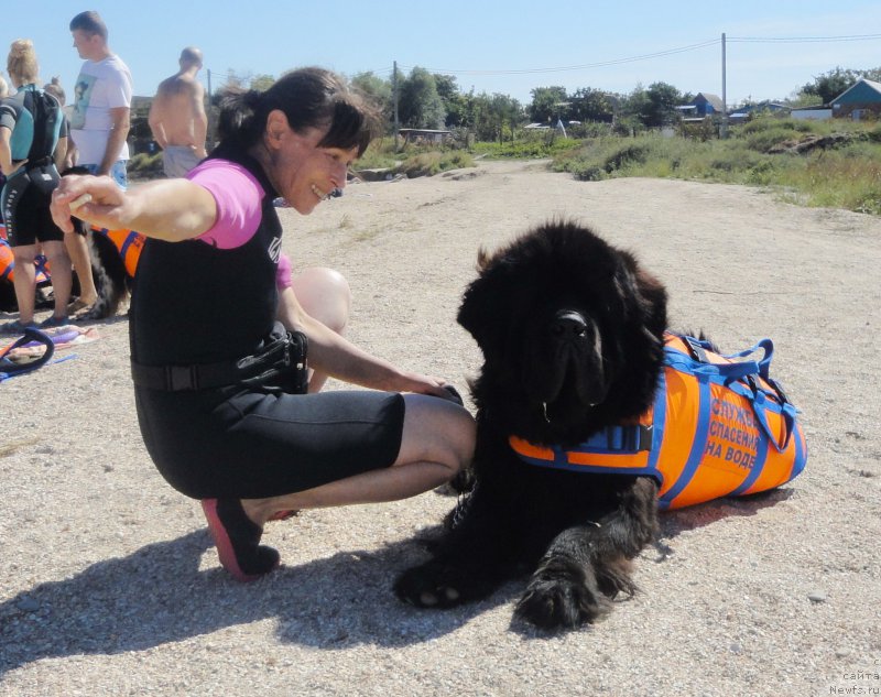 Фотография № 214208