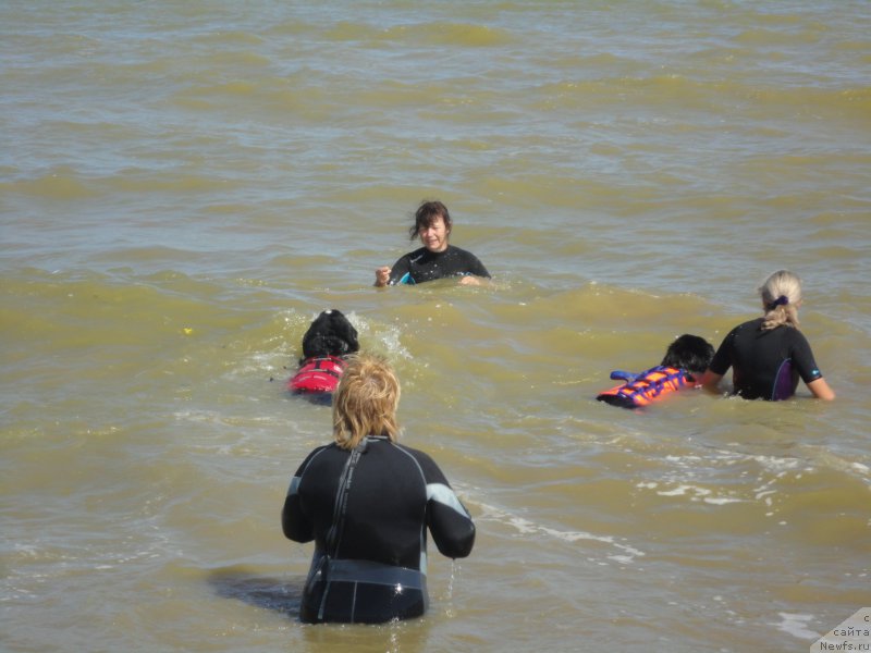 Фотография № 214215