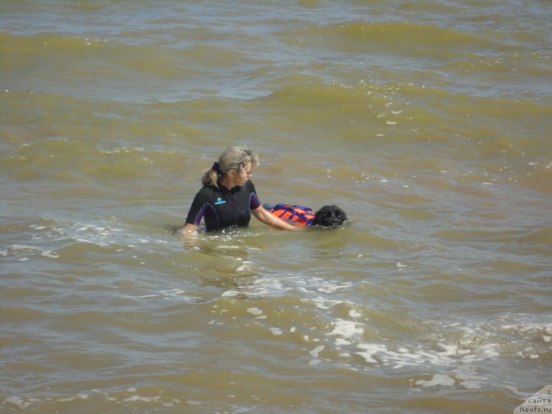 Фотография № 214216