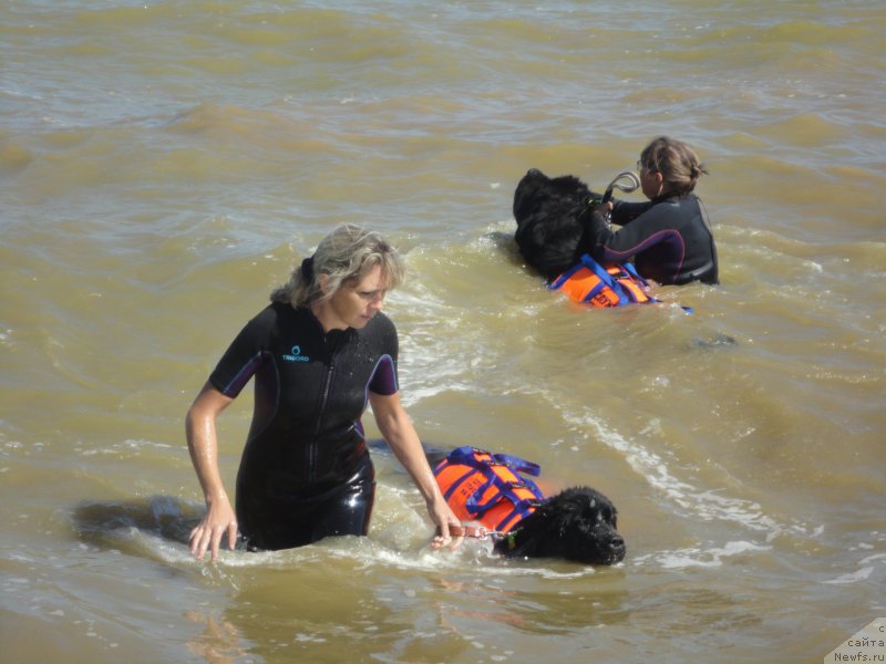 Фотография № 214217