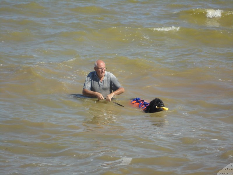 Фотография № 214218