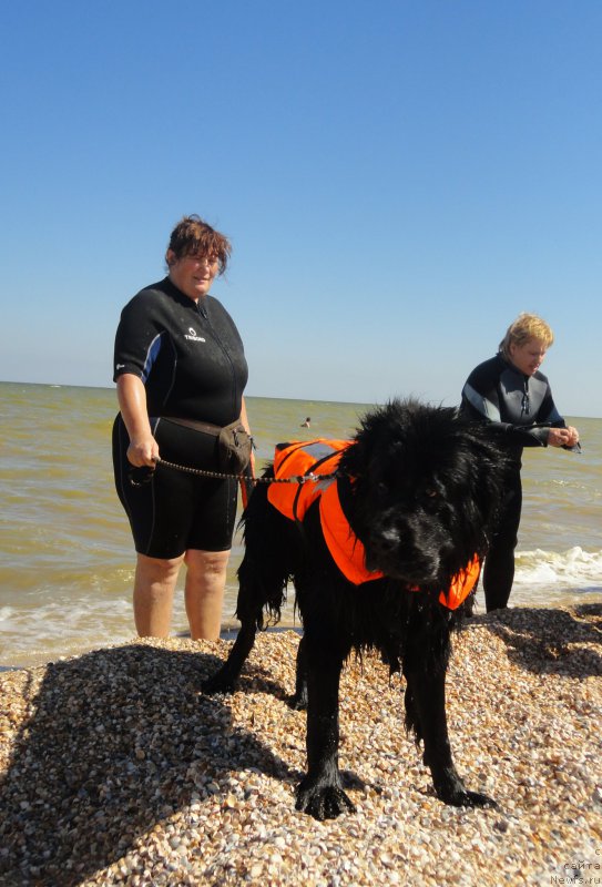 Фотография № 214223