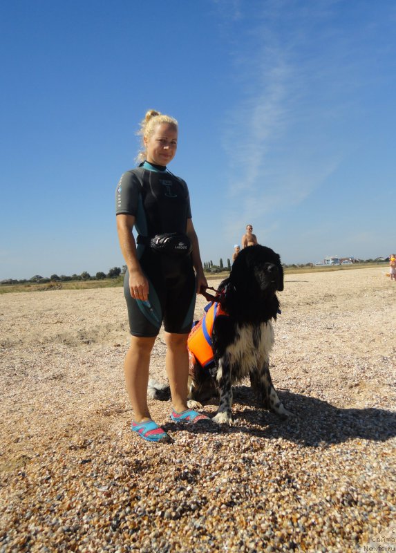 Фотография № 214224