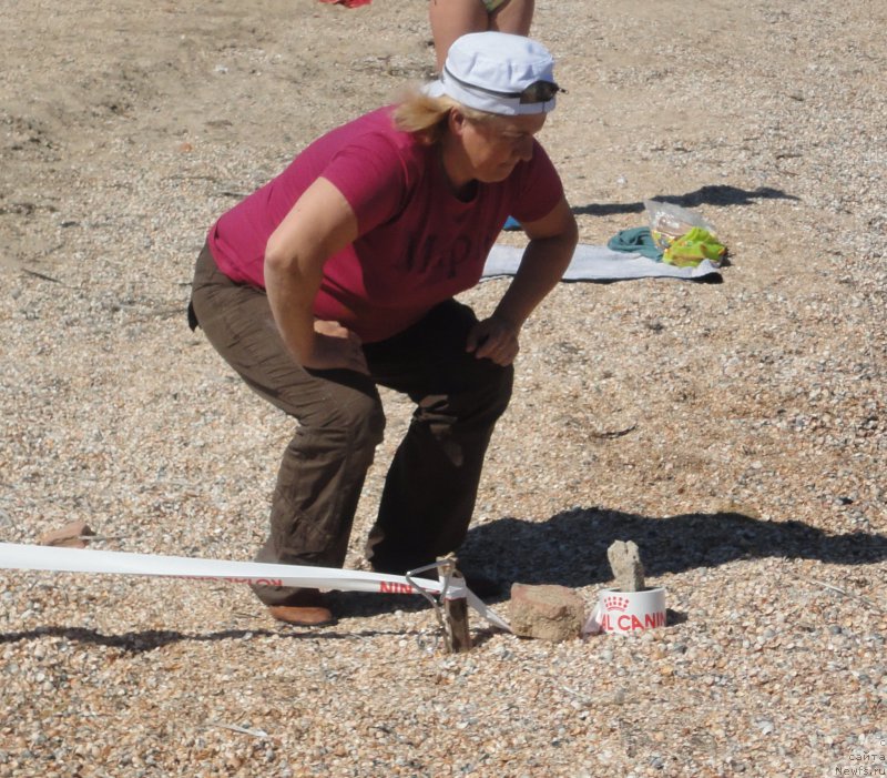 Фотография № 214227