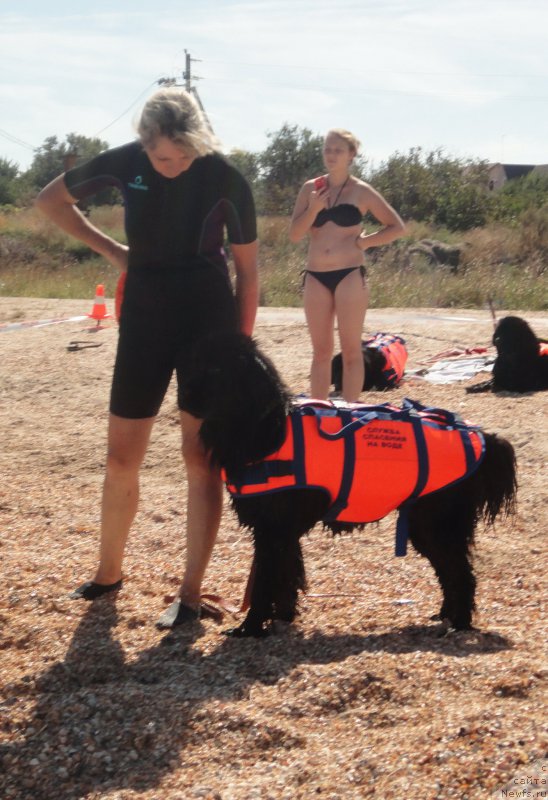 Фотография № 214228