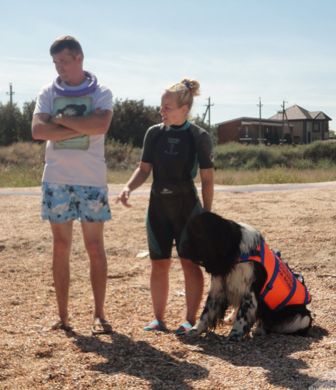 Фотография № 214229