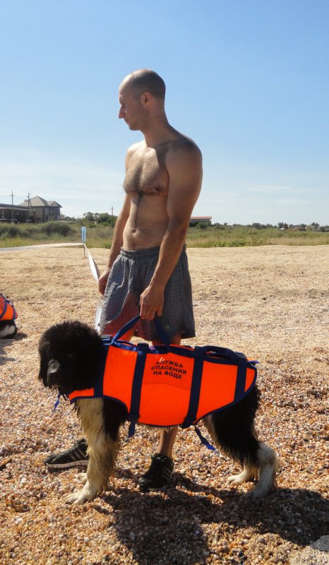 Фотография № 214230