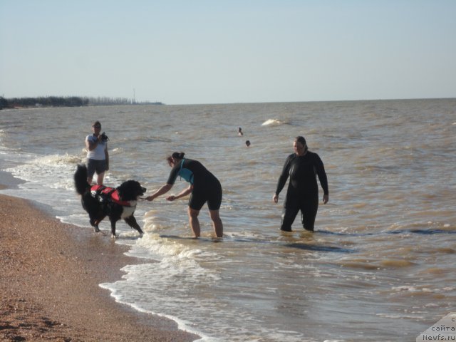 Фотография № 214232