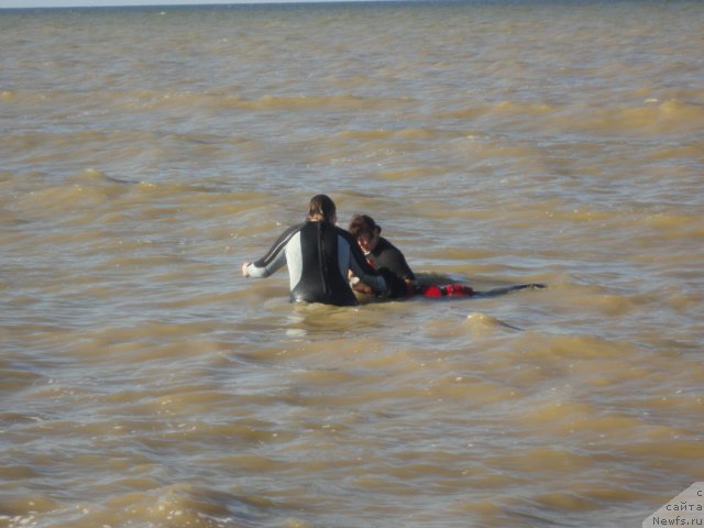 Фотография № 214235