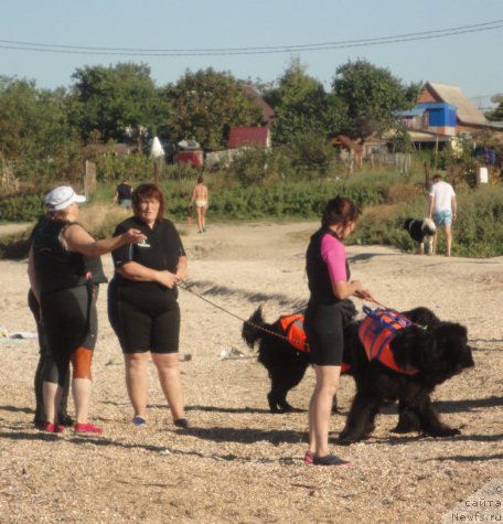 Фотография № 214236