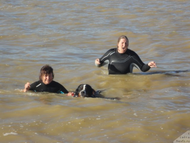 Фотография № 214237