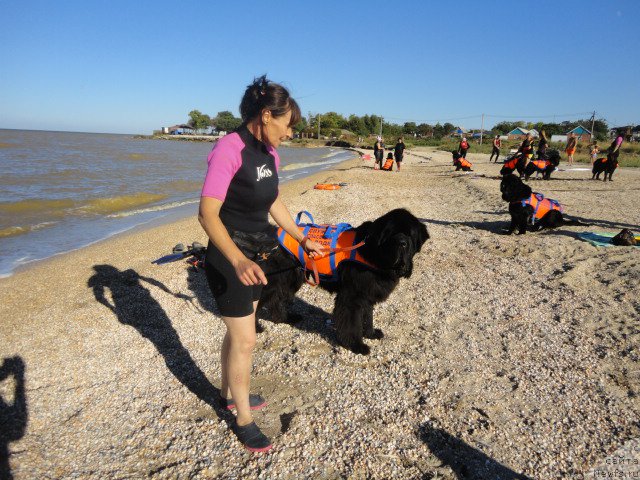 Фотография № 214239